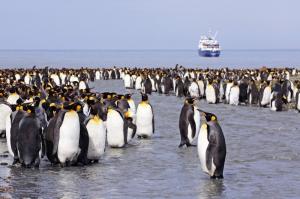 Antarktis - Die große Reise