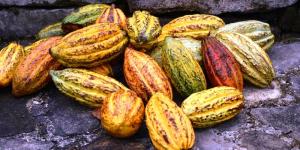 Belize • Guatemala - Kleines Land – großes Abenteuer Belize • Guatemala - Kleines Land – großes Abenteuer