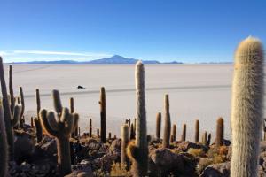 Bolivien - Höhepunkte Boliviens