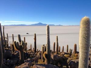 Bolivien - Mietwagenabenteuer Bolivien