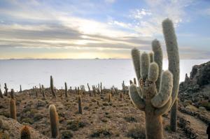 Bolivien - Salzwüste, Andengipfel und Lamas
