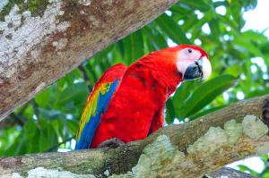 Brasilien  -  Naturparadiese und barocke Juwelen