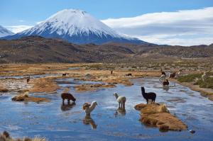 Chile - Anden-Abenteuer