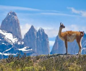 Chile - Vom Wüstensand zum Gletschereis