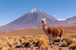 Chile • Argentinien - Von der Wüste bis zum Inlandeis Chile • Argentinien - Von der Wüste bis zum Inlandeis