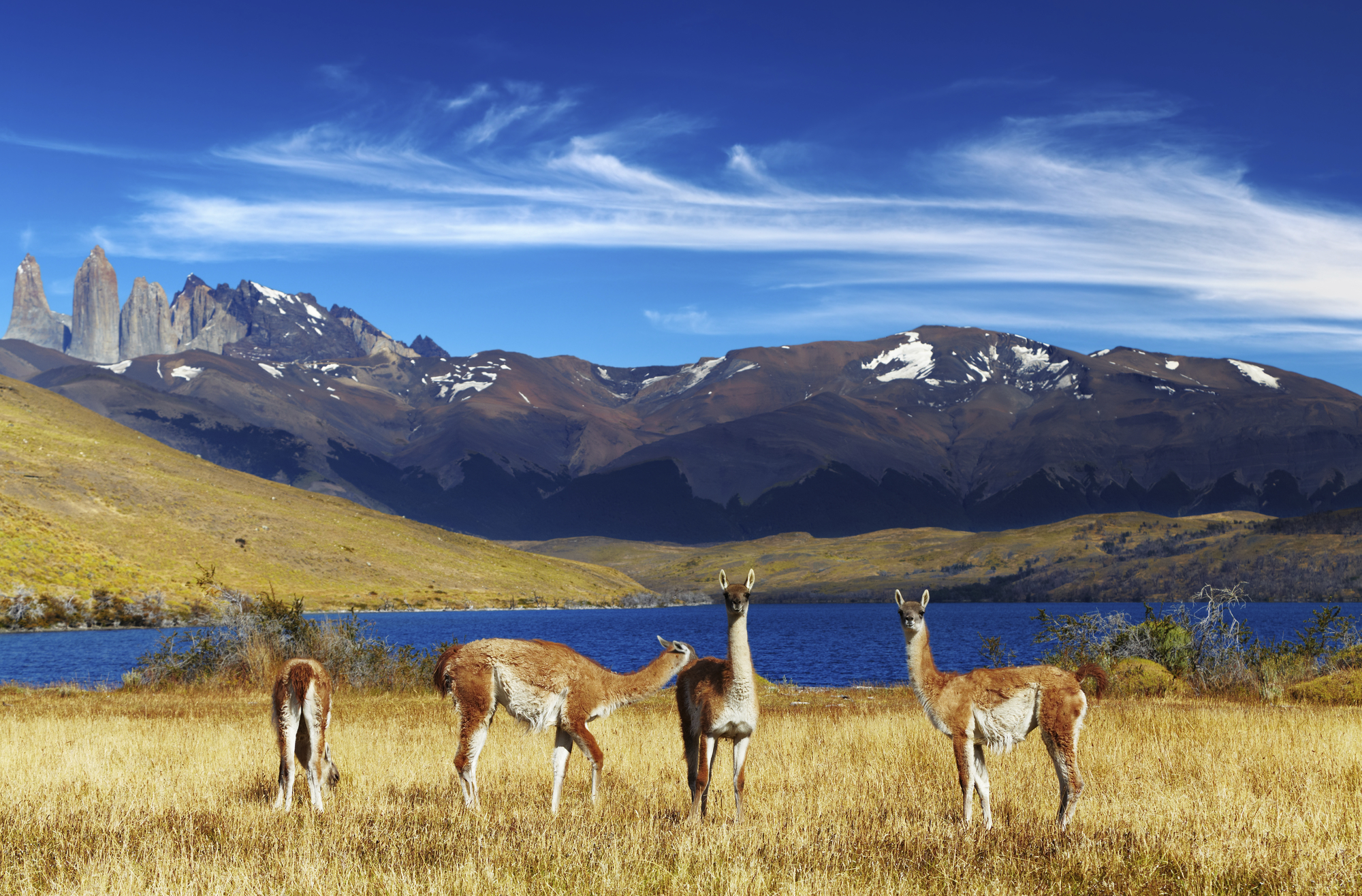 Chiles begeisternde Landschaften Reise 9839