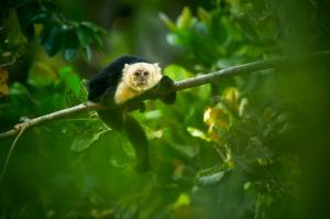 Costa Rica - Versteckte Paradiese