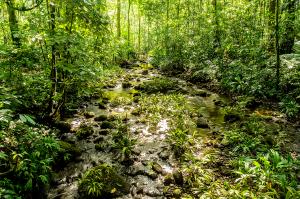 Costa Rica  -  Wandern, Staunen und Genießen