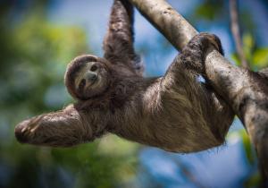 Costa Rica: Höhepunkte