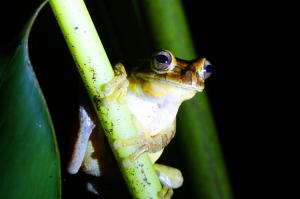 Costa Rica zum Kennenlernen