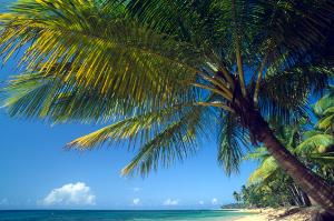 Dominikanische Republik-Facettenreiches Inselparadies