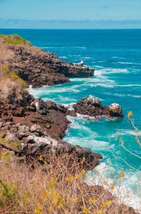 Ecuador & Galapagos: Impressionen