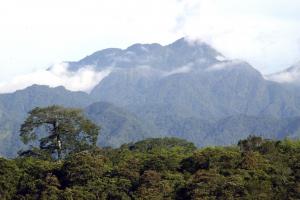 El Salvador -  Honduras