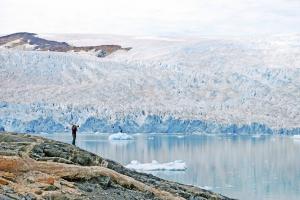 Grönland: Arctic Safari