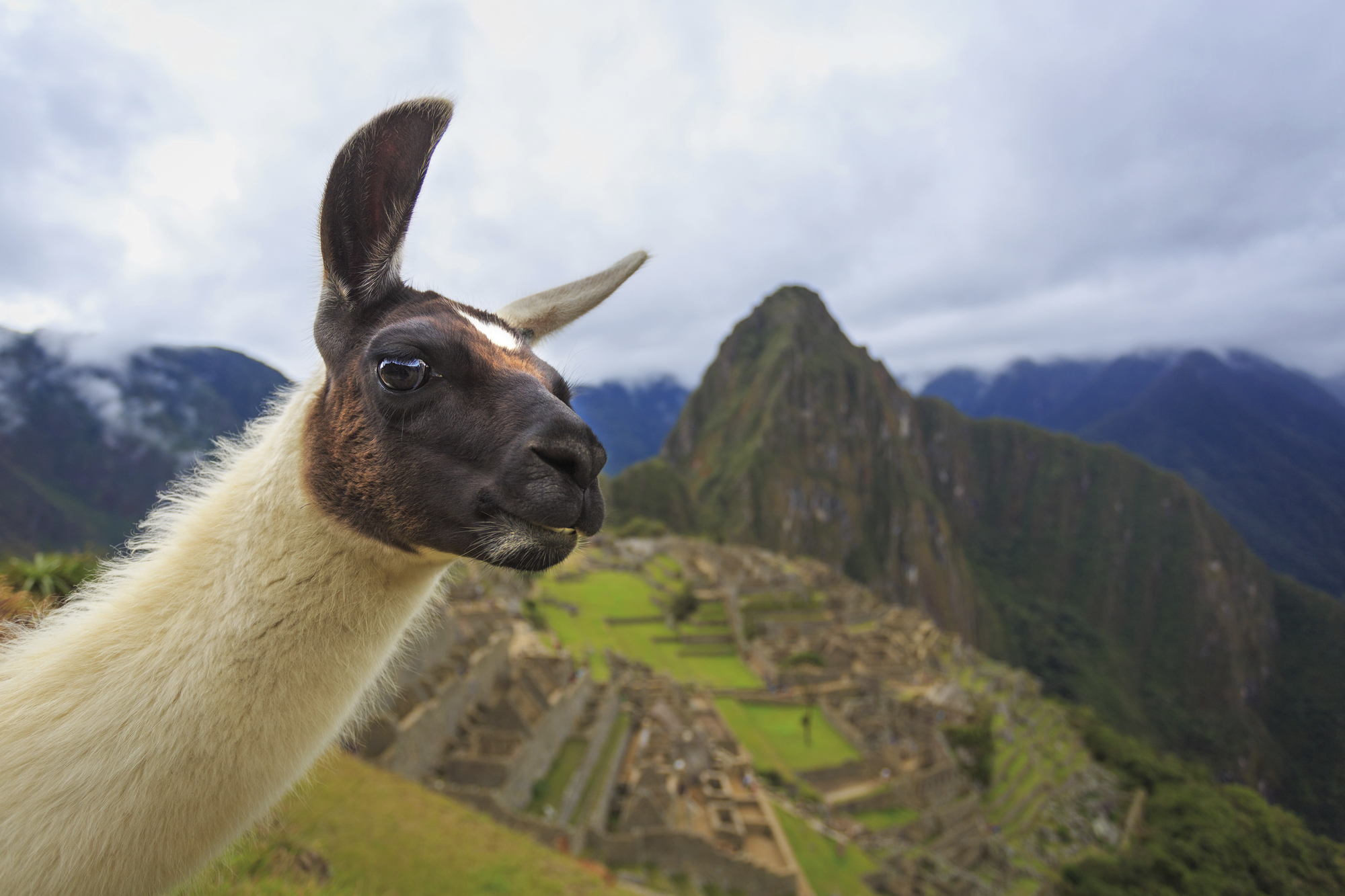 Große Peru-Rundreise (- Bolivien)