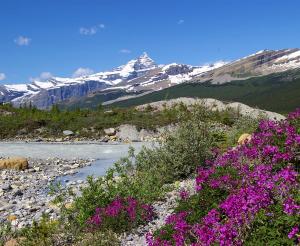 Kanada - Lodge- & Ranchtour: Rocky Mountains bis Pazifik