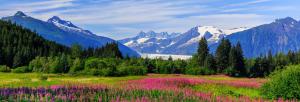 Kreuzfahrt & Rundreise - Celebrity Millennium: Kanada und Alaska