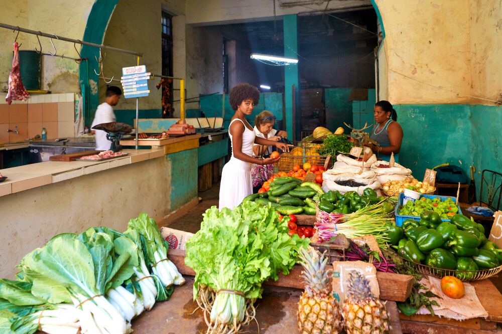 Kuba - A lo Cubano – Naturschätze Kubas erkunden