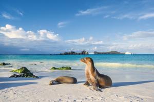 M/C ANAHI: Galápagos-Inseln intensiv
