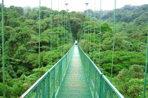 Naturparadies Costa Rica
