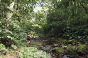 Naturparadiese im bolivianischen Tiefland