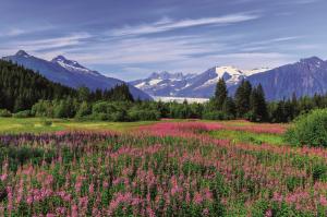 Naturwunder Alaskas