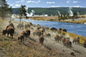 Naturwunder der Rocky Mountains