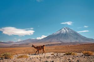 Peru, Bolivien & Chile: Die ausführliche Reise