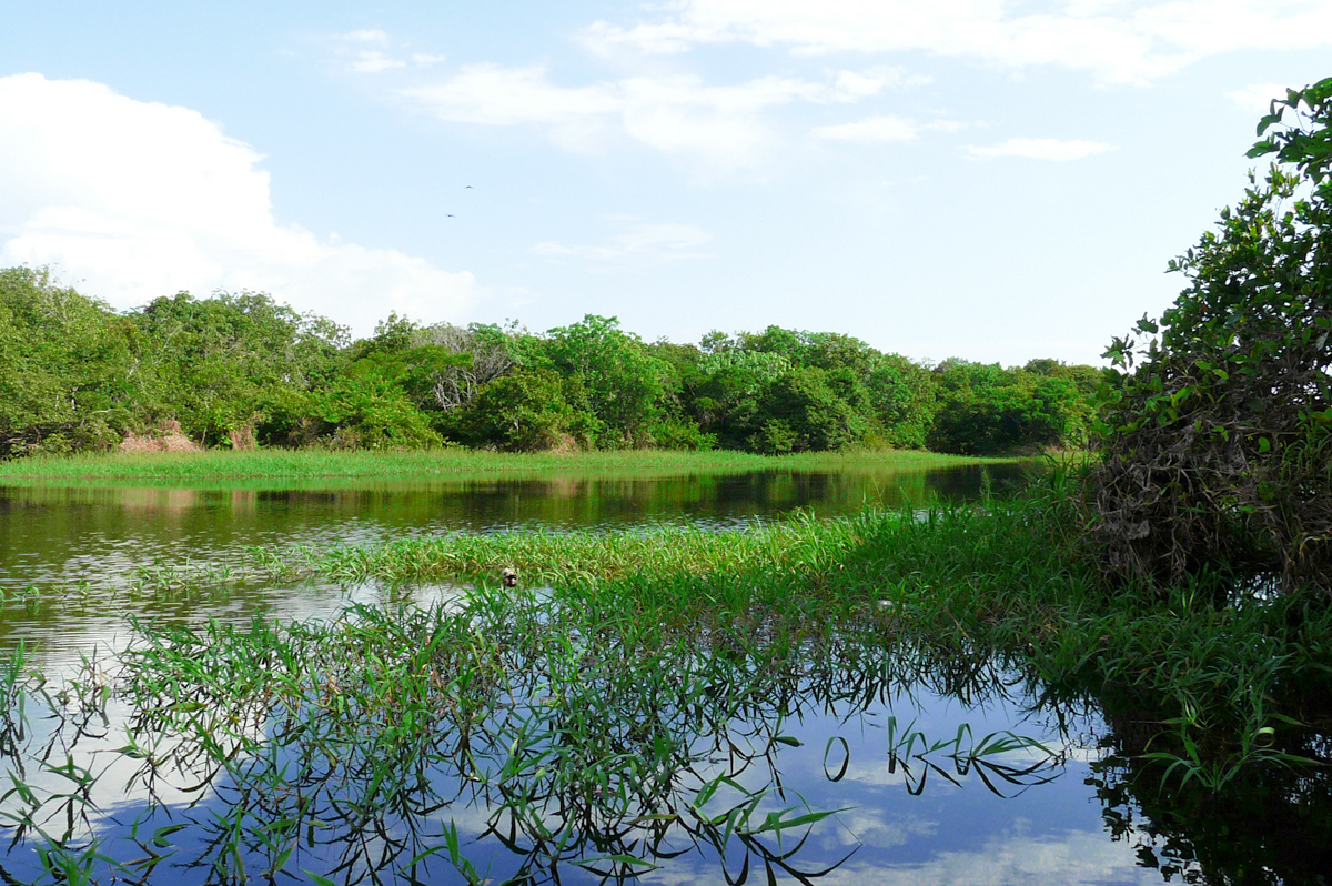 Posada Amazonas  -  Erlebnis Regenwald