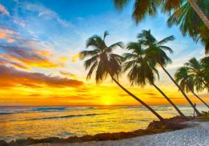 Sonne Strand und Meer im Winter - Von Italien nach Martinique mit der MSC Preziosa Sonne Strand und Meer im Winter - Von Italien nach Martinique mit der MSC Preziosa