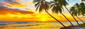 Sonne Strand und Meer im Winter - Von Italien nach Martinique mit der MSC Preziosa Sonne Strand und Meer im Winter - Von Italien nach Martinique mit der MSC Preziosa
