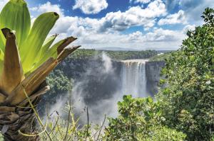 Suriname - Guyana - Französisch Guyana Kompakt