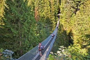 Vancouver and wildlife in style