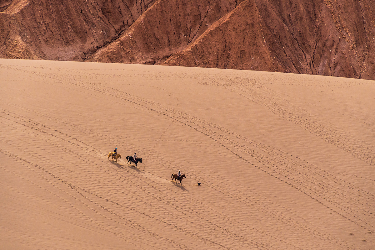 Wüstenzauber Atacama