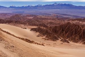 Wüstenzauber Atacama