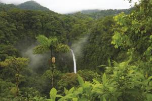 Zentralamerika: Costa Rica (- Panamá)